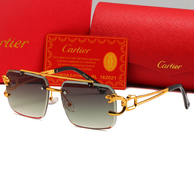 Cartier sunglasses-C5905S